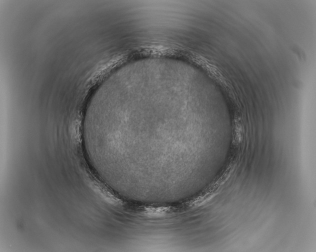 X0000114670450200911121336