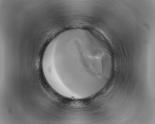 X0000114670451200911121336