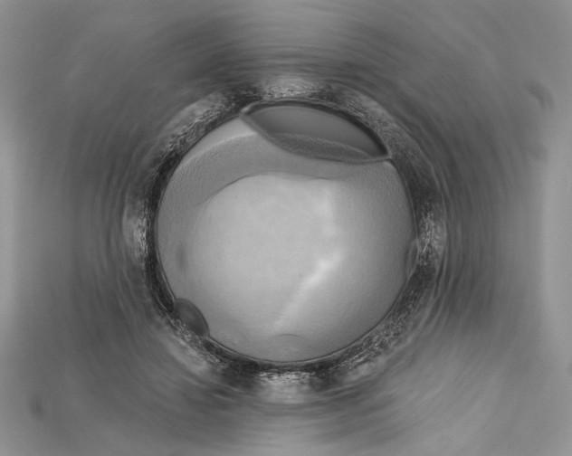 X0000114670452200911121336