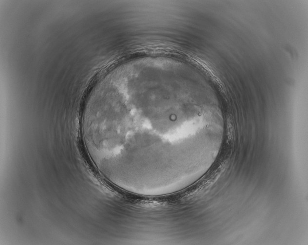 X0000114670453200911121336