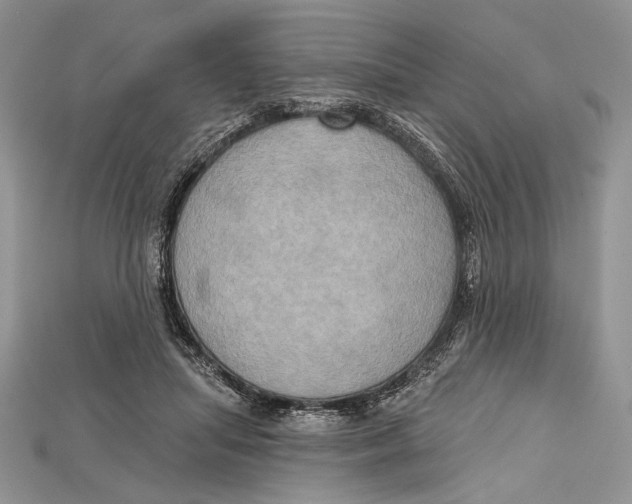 X0000114670455200911121336