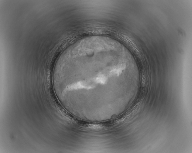 X0000114670457200911121336