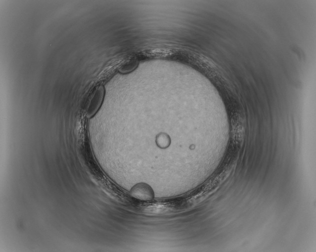 X0000114670460200911121336