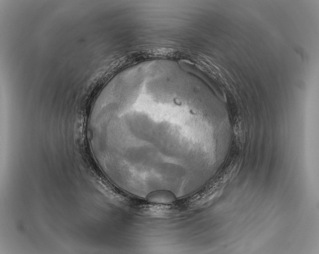 X0000114670462200911121336