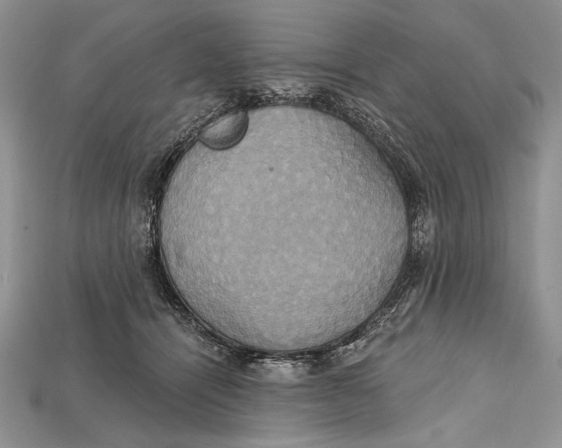 X0000114670464200911121336