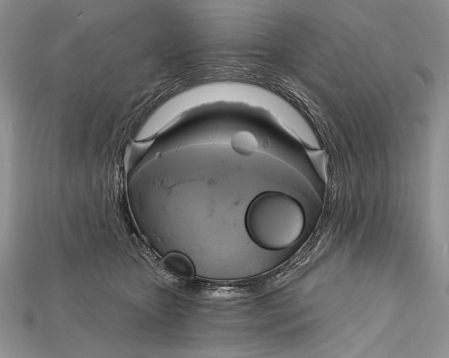 X0000114670467200911121336