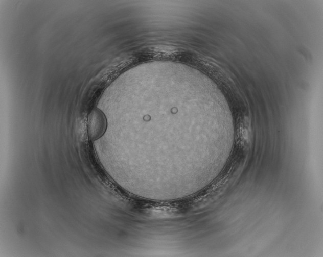 X0000114670468200911121336