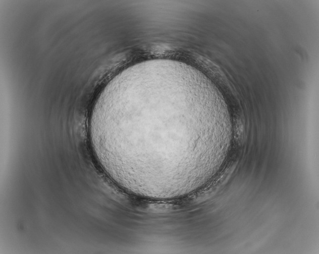 X0000114670470200911121336