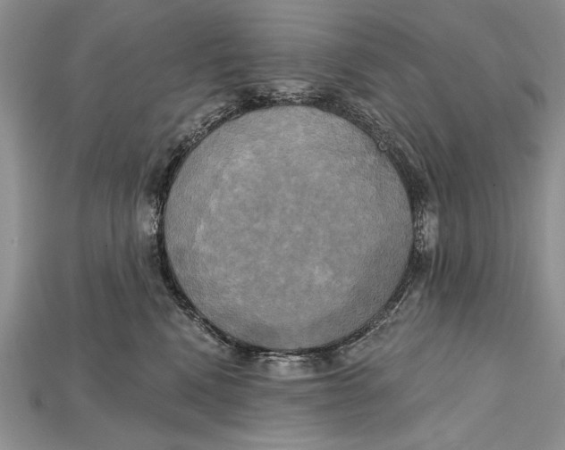 X0000114670472200911121336