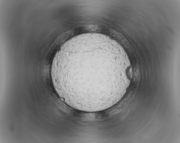 X0000114670473200911121336