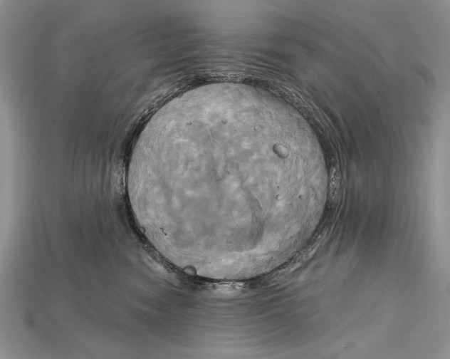 X0000114670474200911121336