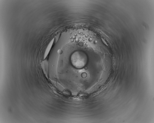 X0000114670475200911121336