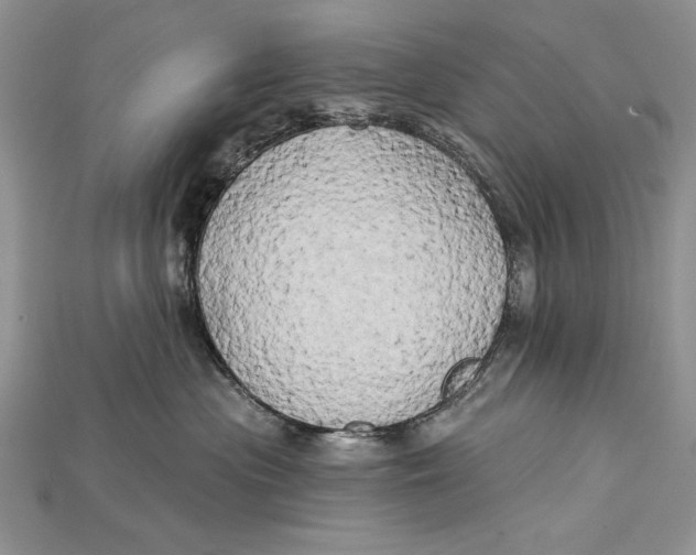 X0000114670477200911121336