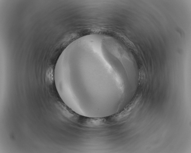 X0000114670479200911121336