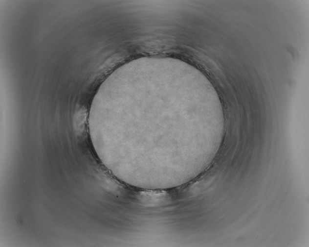 X0000114670480200911121336