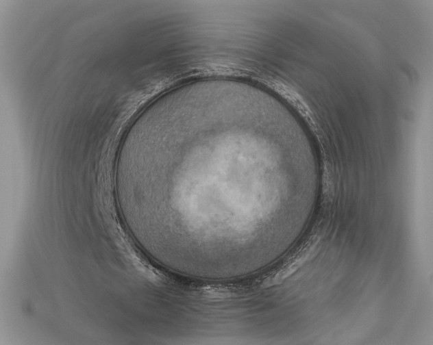 X0000114670481200911121336