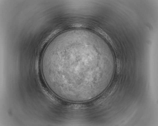 X0000114670482200911121336