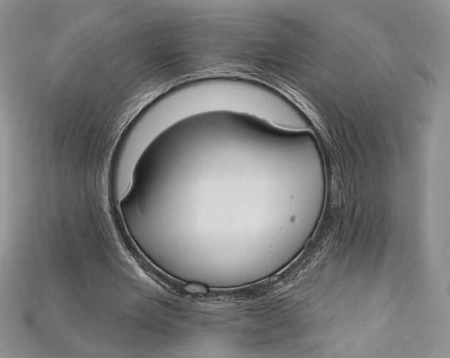 X0000114670485200911121336