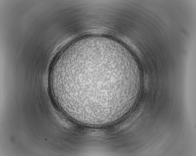 X0000114670486200911121336