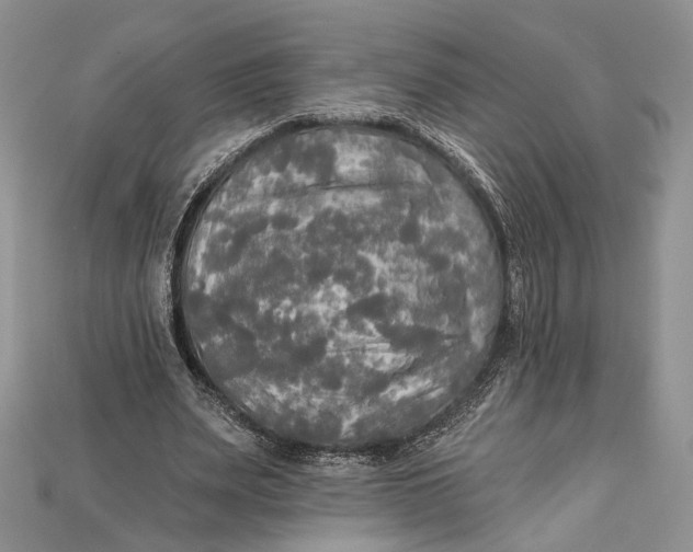 X0000114670487200911121336