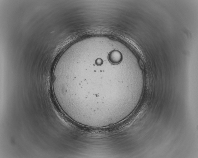 X0000114670489200911121336