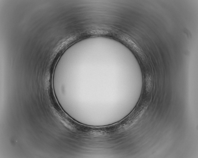 X0000114670490200911121336