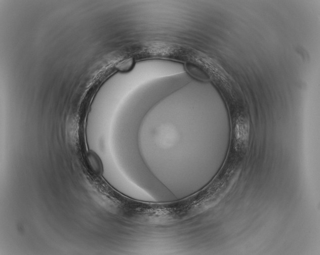 X0000114670492200911121336