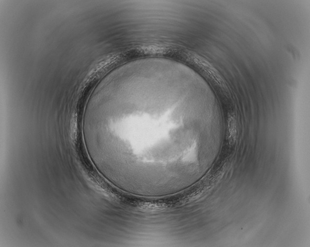 X0000114670494200911121336