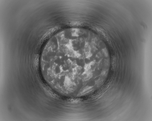 X0000114670495200911121336