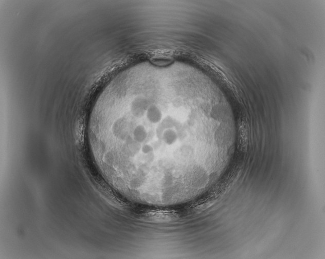 X0000114670499200911121336