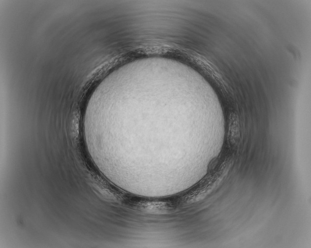 X0000114670501200911121336