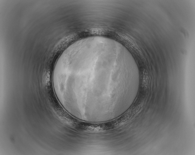 X0000114670502200911121336