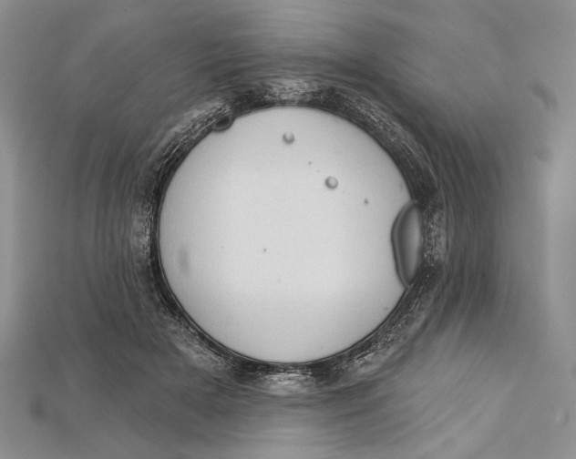 X0000114670505200911121335