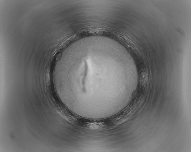 X0000114670508200911121335