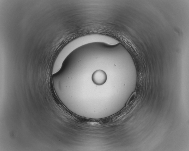 X0000114670509200911121335