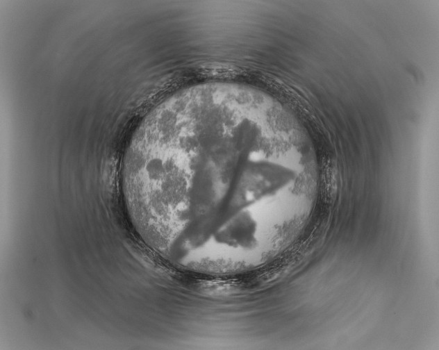 X0000114670511200911121335