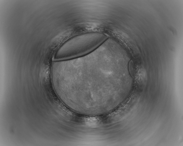 X0000114670513200911121335