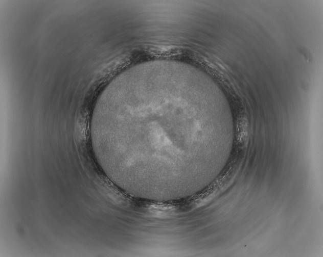 X0000114670515200911121335