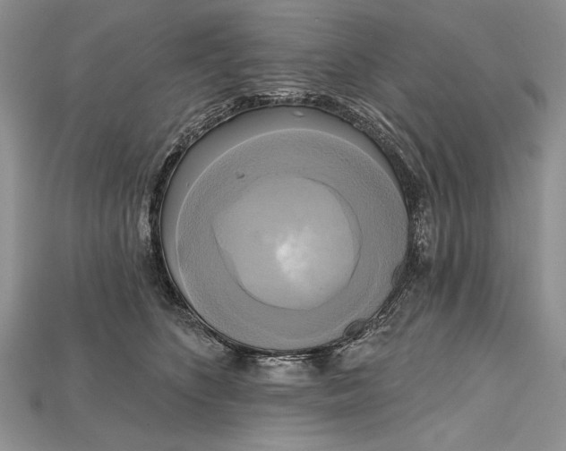 X0000114670516200911121335