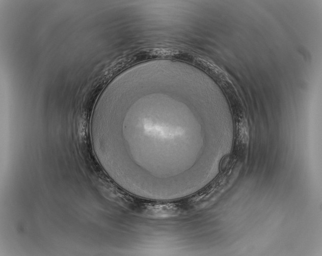 X0000114670517200911121335