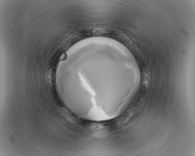 X0000114670519200911121335