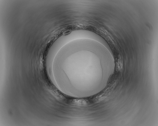 X0000114670520200911121335