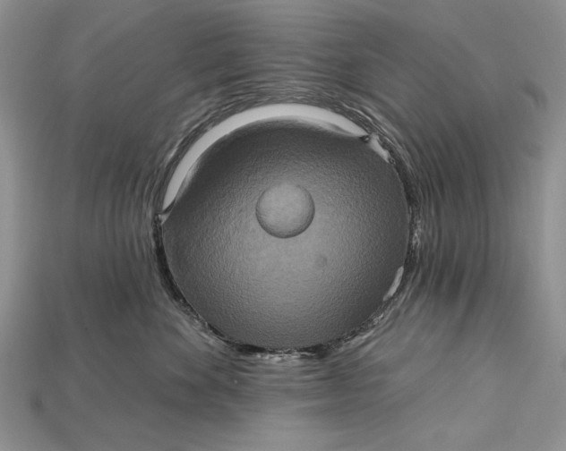 X0000114670524200911121335