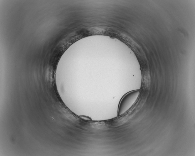 X0000114670525200911121335