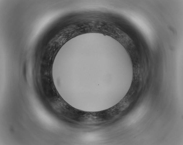 X0000114670526200911121335