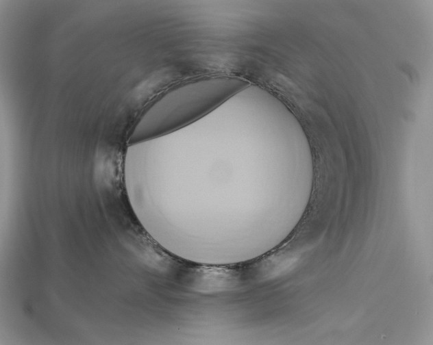 X0000114670528200911121335