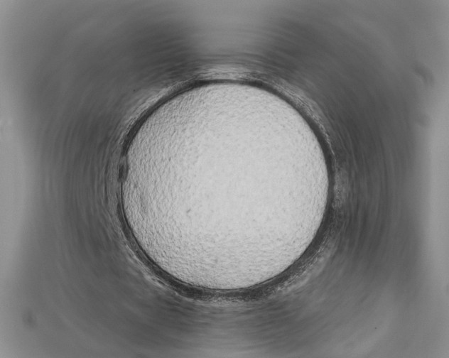 X0000114670529200911121335