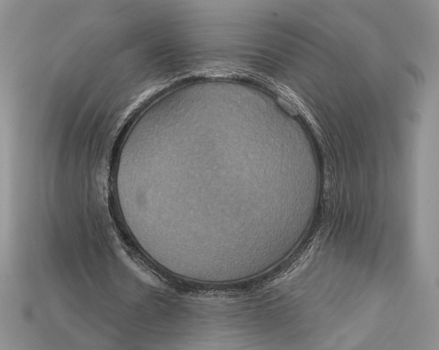 X0000114670530200911121335