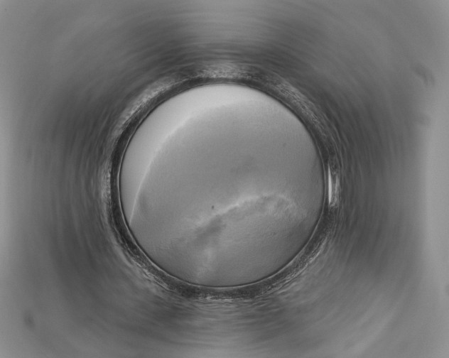 X0000114670531200911121335