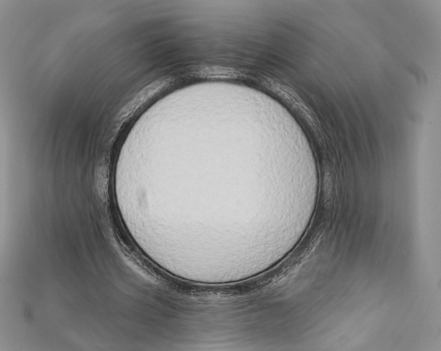 X0000114670533200911121335